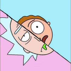 Meet your Posher, Dion